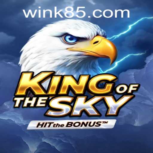 Unveiling KingOfTheSky: The Ultimate Aerial Adventure